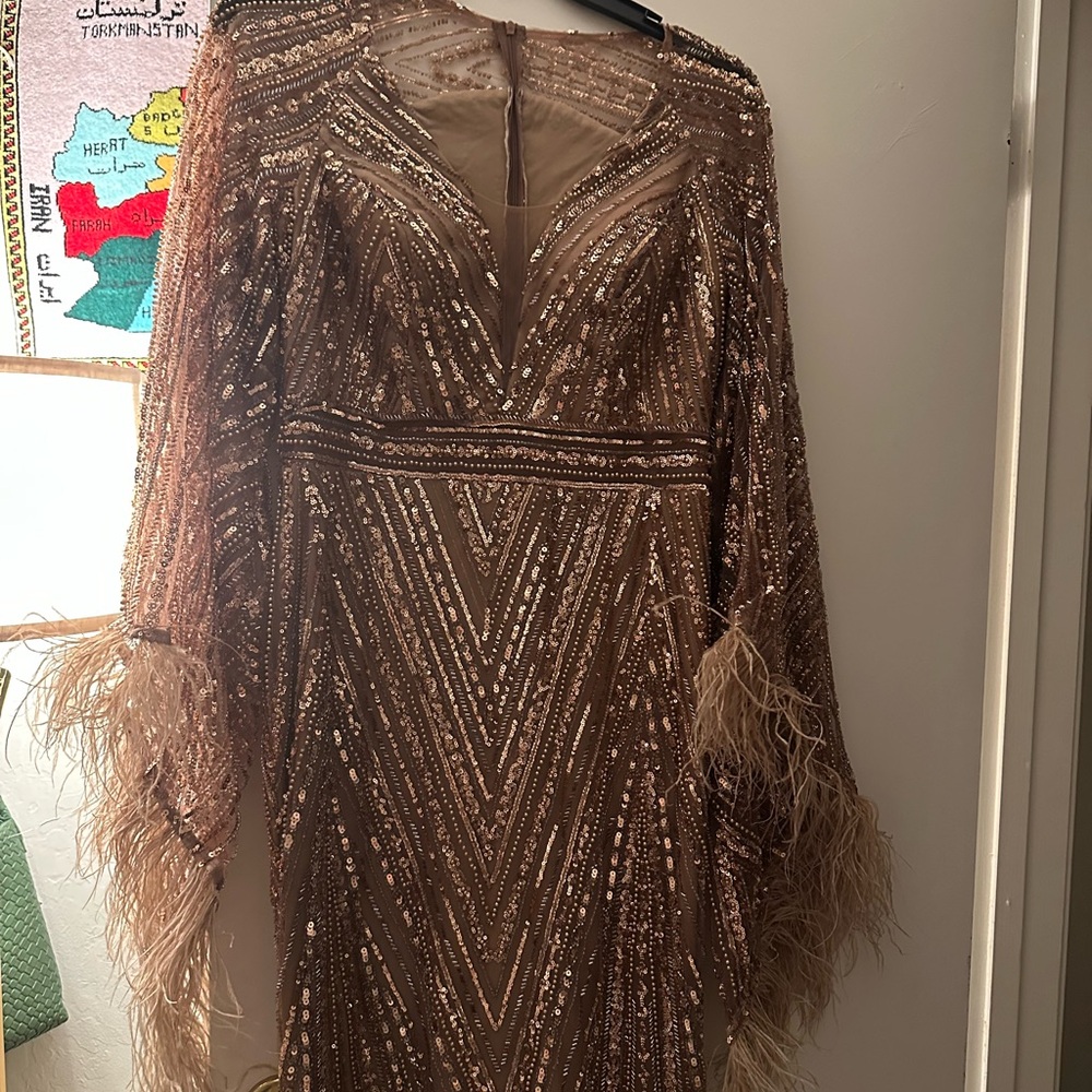 Elegant Sequin and Feather Dress